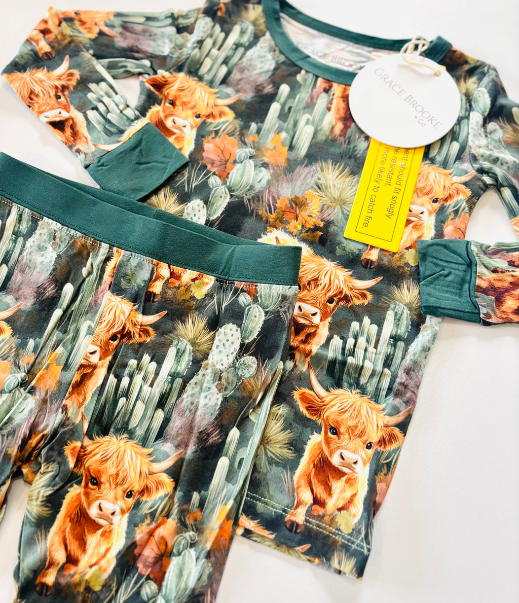 Highland Cow Long Sleeve & Pants set